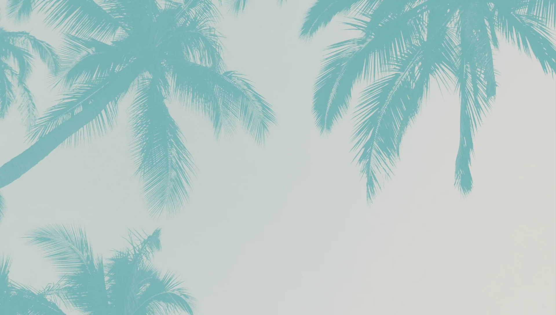 Osez la couleur avec style
